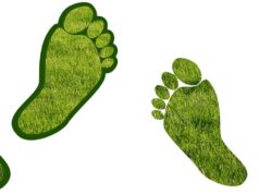 कार्बन फुटप्रिंट Carbon footprint
