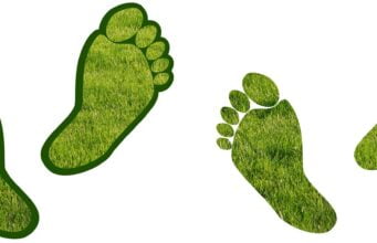 कार्बन फुटप्रिंट Carbon footprint