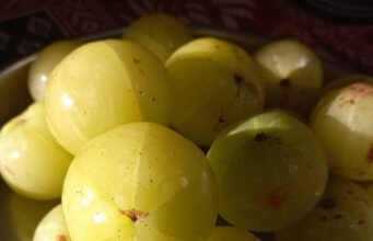 आंवला नौमी : वृक्षवाची, युगवाची पर्व – संदर्भ : आंवला नवमी आंवला नवमी